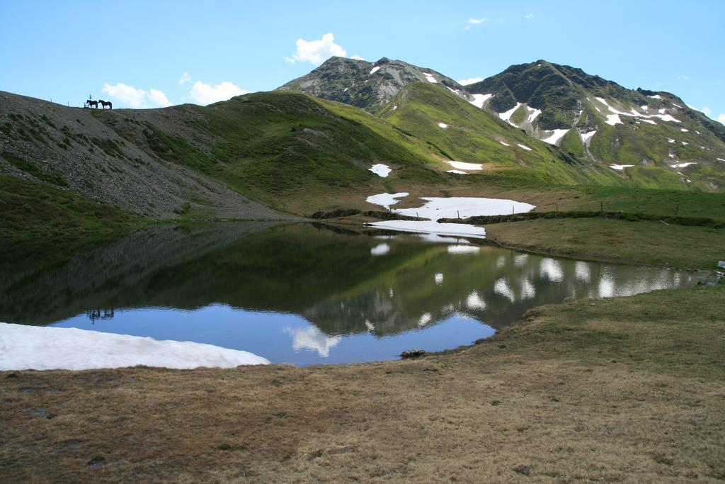 Tauern Apartment Schrempf - Anna Нідернзілль Екстер'єр фото